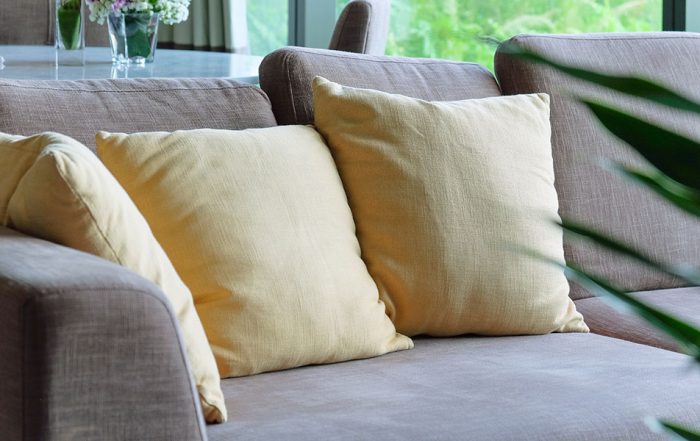 Professional pet upholstery cleaning by Citrus Bright helps eliminate pet odors and stains safely—call 480-689-3509 today to restore fresh, clean furniture.