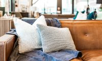 Eco-friendly upholstery cleaning by Citrus Bright helps prevent mold and mildew while keeping furniture fresh and safe—call 480-689-3509 today to schedule professional upholstery cleaning.