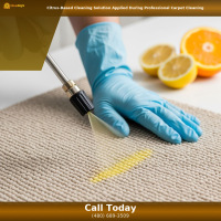 Citrus-based professional carpet cleaning solution applied by Citrus Bright technician in Gilbert AZ — contact us today for eco-friendly, residue-free carpet cleaning.