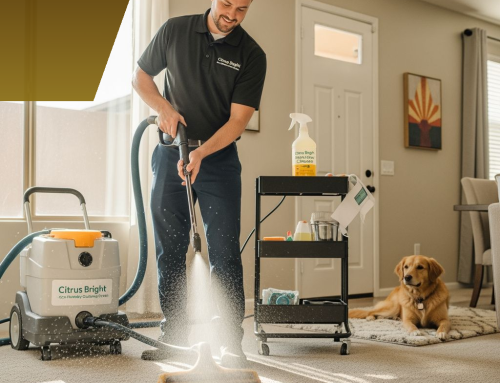 The Hidden Truth About Carpet Cleaning Chemicals and Your Gilbert Home’s Indoor Air Quality