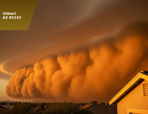What AZ’s Monsoon Season Does to Your Carpet, Tile, and Upholstery