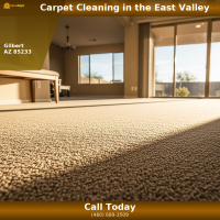 Professional carpet cleaning result in a Chandler AZ family room — Citrus Bright