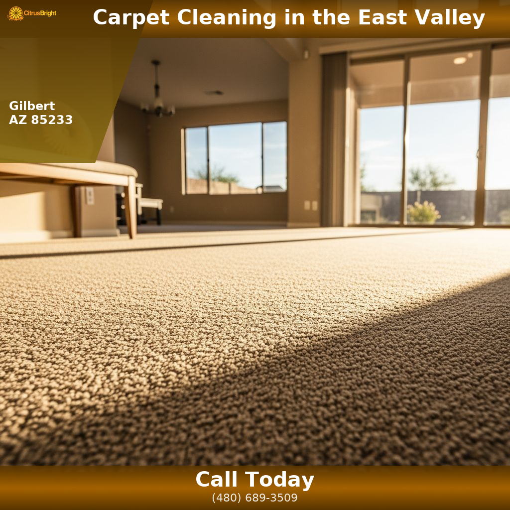 Professional carpet cleaning result in a Chandler AZ family room — Citrus Bright