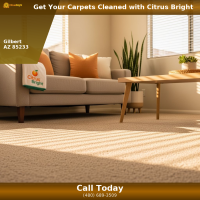 Professional carpet cleaning cost in Gilbert AZ — freshly cleaned living room carpet - Keyword: carpet cleaning cost Gilbert AZ