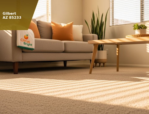 How Much Does Carpet Cleaning Cost in Gilbert, AZ? (Honest Pricing from a Local Company)