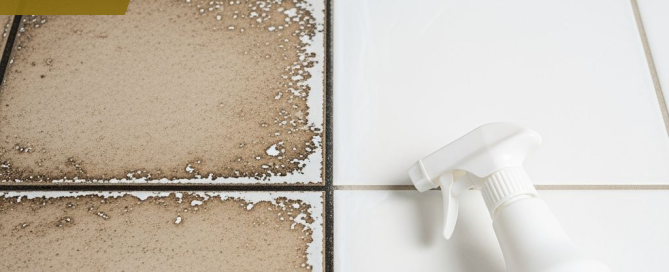 Close-up comparison of hard water stained tile grout versus clean restored grout in a Gilbert AZ home