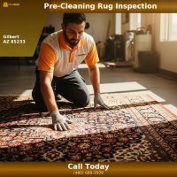 Citrus Bright technician performing pre-cleaning inspection on an oriental area rug in Gilbert AZ