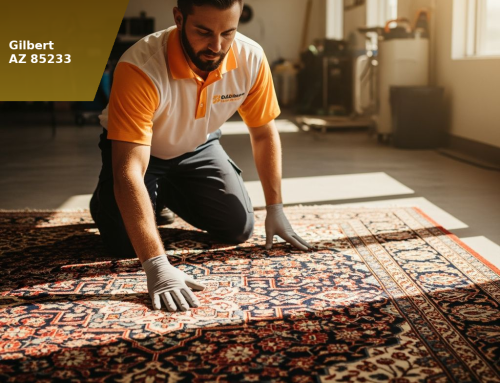 Area Rug Cleaning in Gilbert, AZ — What Your Cleaner Should Check Before They Touch It