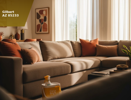 Upholstery Cleaning in Scottsdale, AZ For Higher-End Furniture