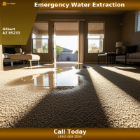 Truck-mounted extraction wand removing water from saturated carpet backing in East Valley Arizona home
